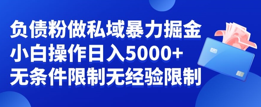 负债粉私域暴力掘金，小白操作入5000，无经验限制，无条件限制【揭秘】-e家网