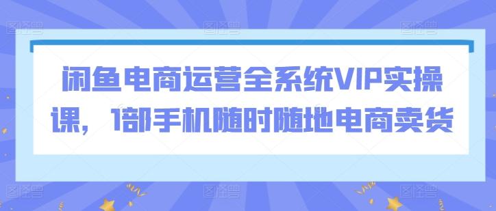 闲鱼电商运营全系统VIP实操课，1部手机随时随地电商卖货-E家云商