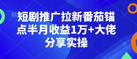 短剧推广拉新番茄锚点半月收益1万+大佬分享实操-E家云商
