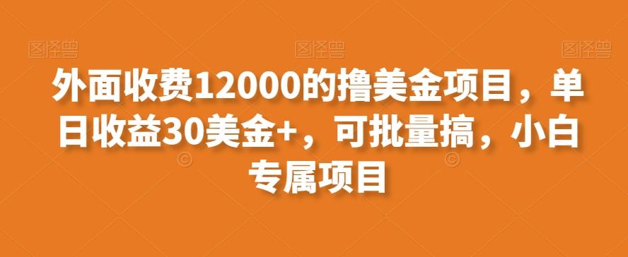 外面收费12000的撸美金项目，单日收益30美金+，可批量搞，小白专属项目-E家云商
