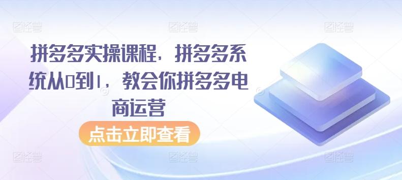 拼多多实操课程，拼多多系统从0到1，教会你拼多多电商运营-E家云商