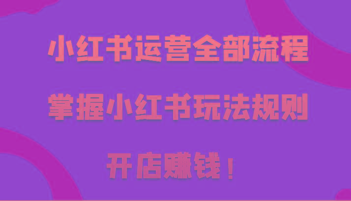 小红书运营全部流程，掌握小红书玩法规则，开店赚钱！-E家云商
