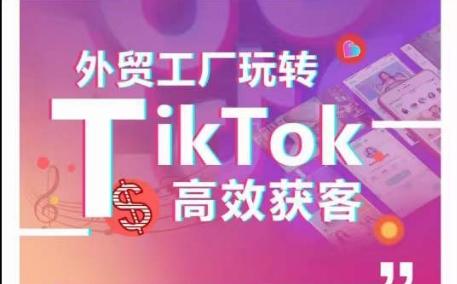 外贸工厂玩转TikTok高效获客，多种引流方式与账号定位技巧，拆解爆款短视频打造成功案例-E家云商