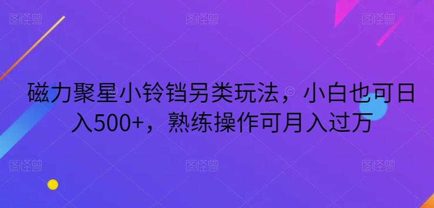 磁力聚星小铃铛另类玩法，小白也可日入500+，熟练操作可月入过万-e家网
