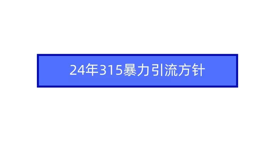 (9398期)2024年315暴力引流方针-E家云商