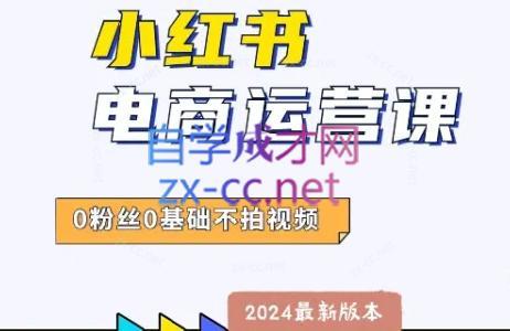 达哥·小红书电商运营(2024版)-E家云商