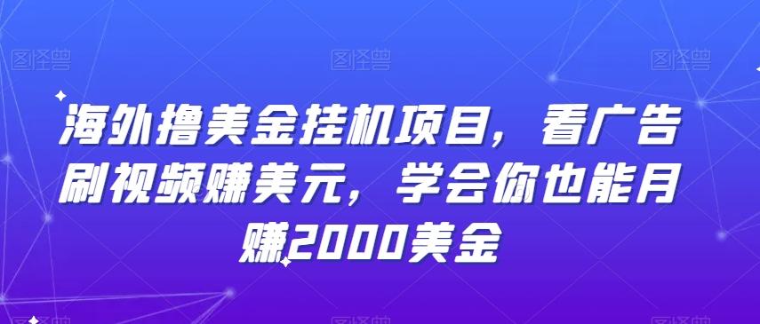 海外撸美金挂机项目，看广告刷视频赚美元，学会你也能月赚2000美金-E家云商