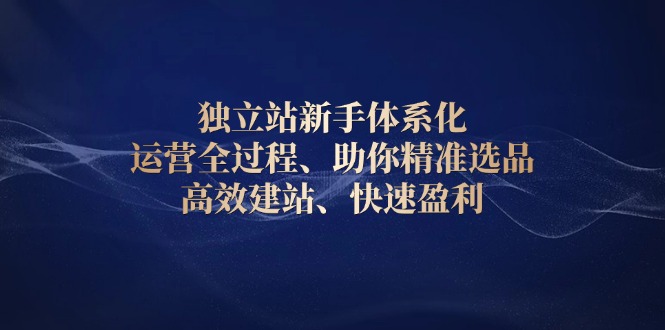独立站新手体系化 运营全过程，助你精准选品、高效建站、快速盈利-E家云商