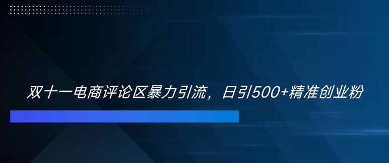 双十一电商评论区暴力引流，日引500+精准创业粉【揭秘】-E家云商