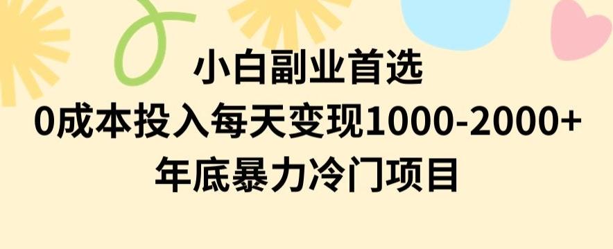 小白副业首选，0成本投入，每天变现1000-2000年底暴力冷门项目【揭秘】-E家云商