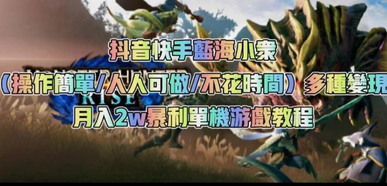 抖音快手蓝海小众（操作简单人人可做不花时间）多种变现月入2w＋暴利单机游戏教程-E家云商