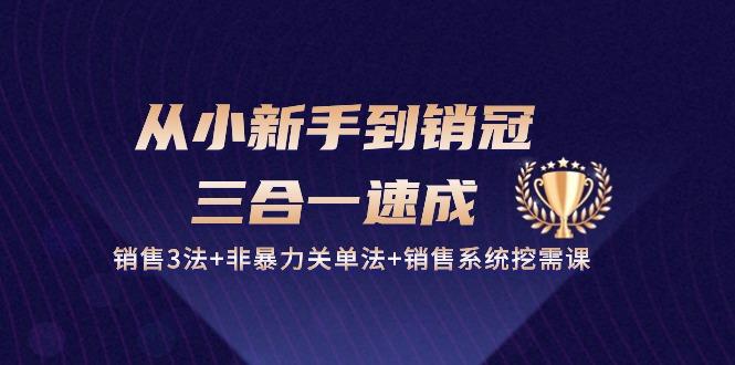 从小新手到销冠 三合一速成：销售3法+非暴力关单法+销售系统挖需课 (27节-E家云商