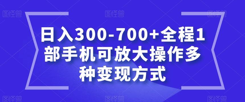 日入300-700+全程1部手机可放大操作多种变现方式【揭秘】-E家云商