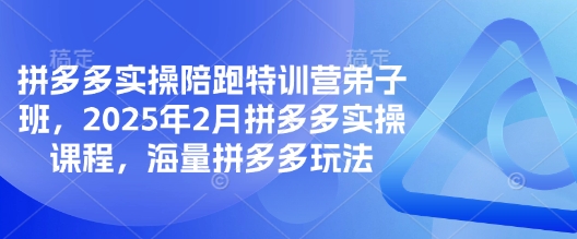拼多多实操陪跑特训营弟子班，2025年2月拼多多实操课程，海量拼多多玩法-E家云商