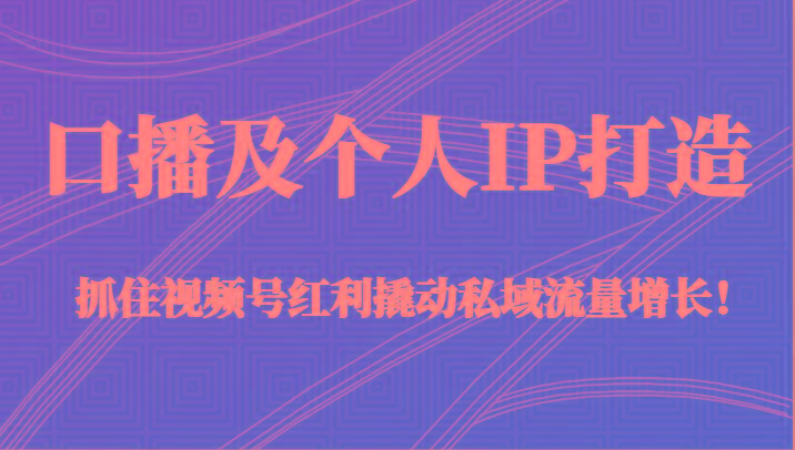 口播及个人IP打造，抓住视频号红利撬动私域流量增长！（45节课）-E家云商