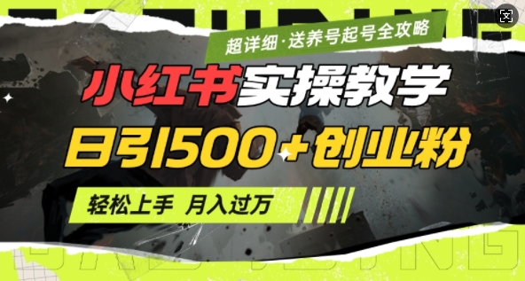 2月小红书最新日引500+创业粉实操教学【超详细】小白轻松上手，月入1W+，附小红书养号起号SOP-E家云商