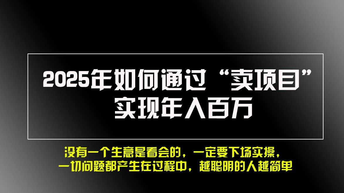 2025年如何通过“卖项目”实现年入百万-E家云商