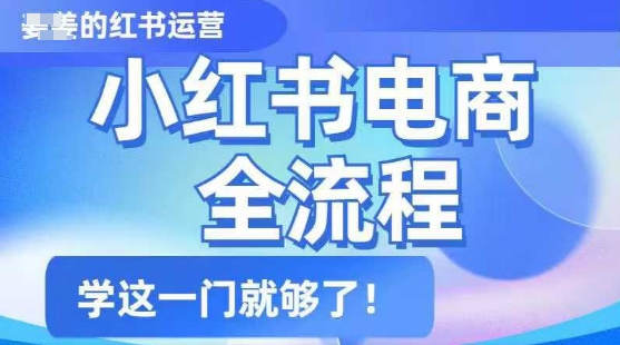 小红书电商全流程，精简易懂，从入门到精通，学这一门就够了-E家云商
