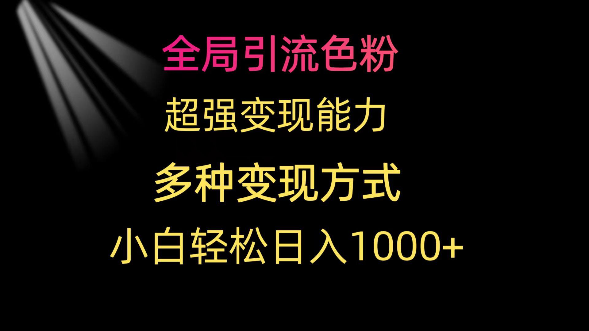 (9680期)全局引流色粉 超强变现能力 多种变现方式 小白轻松日入1000+-E家云商