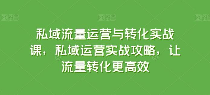 私域流量运营与转化实战课，私域运营实战攻略，让流量转化更高效-E家云商
