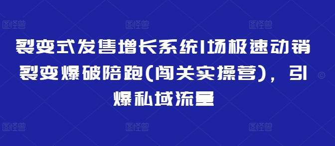 裂变式发售增长系统1场极速动销裂变爆破陪跑(闯关实操营)，引爆私域流量-E家云商