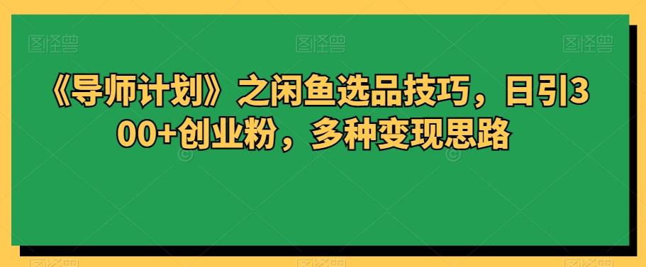 《导师计划》之闲鱼选品技巧，日引300+创业粉，多种变现思路-E家云商