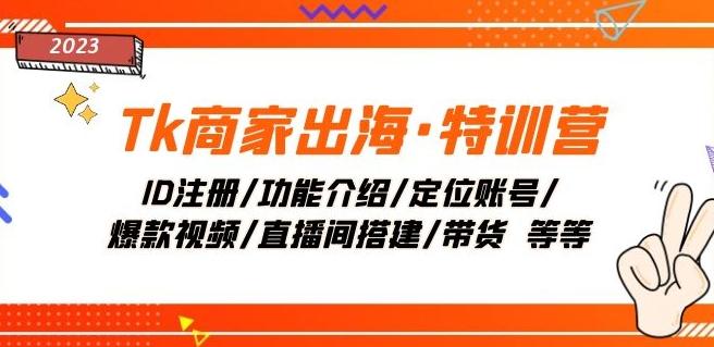 Tk商家出海·特训营：ID注册/功能介绍/定位账号/爆款视频/直播间搭建/带货-E家云商