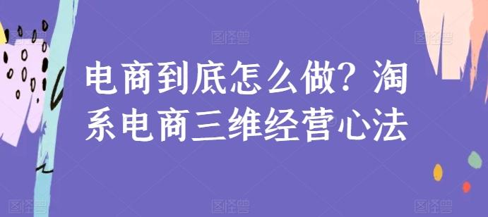 电商到底怎么做？淘系电商三维经营心法-E家云商