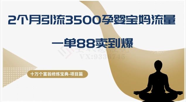 十万个富翁修炼宝典之13.2个月引流3500孕婴宝妈流量，一单88卖到爆-E家云商