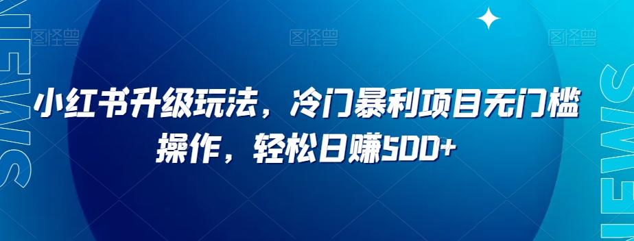 小红书升级玩法，冷门暴利项目无门槛操作，轻松日赚500+【揭秘】-E家云商