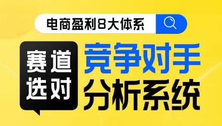 电商盈利8大体系·赛道选对，​竞争对手分析系统线上课-E家云商