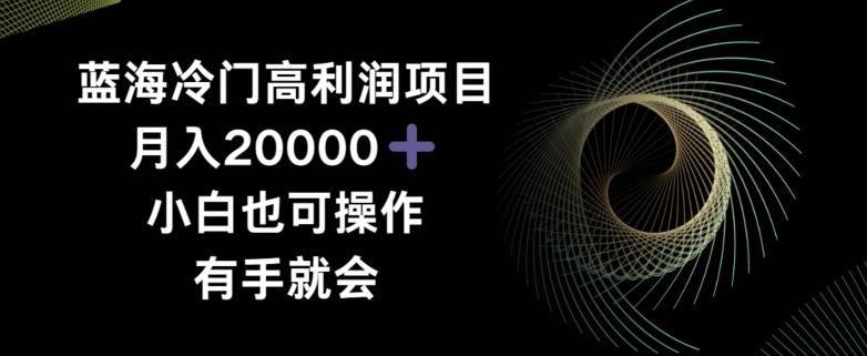 蓝海冷门高利润项目月入2000,小白也可操作有手就会