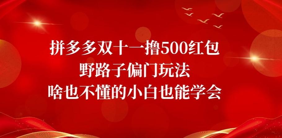 拼多多双十一撸500红包野路子偏门玩法，啥也不懂的小白也能学会【揭秘】-E家云商