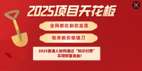 2025项目天花板普通人如何通过知识付费，实现财F自由【揭秘】-E家云商