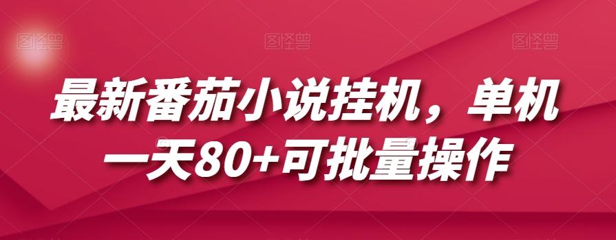 最新番茄小说挂机，单机一天80+可批量操作【揭秘】-E家云商